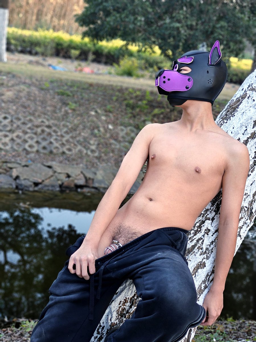 策子 tweet media