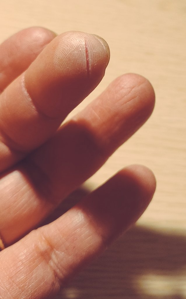 國森由美子@新潮新書『熟睡力』2026年2月刊 tweet media