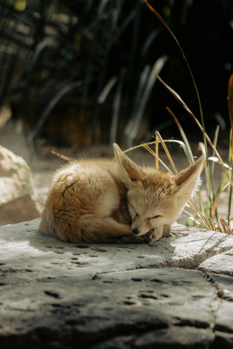 StrangeWorlds2's tweet image. Good morning, readers &amp;amp; writers! #goodmorning #reading #readers #writing #writers #books #booklovers