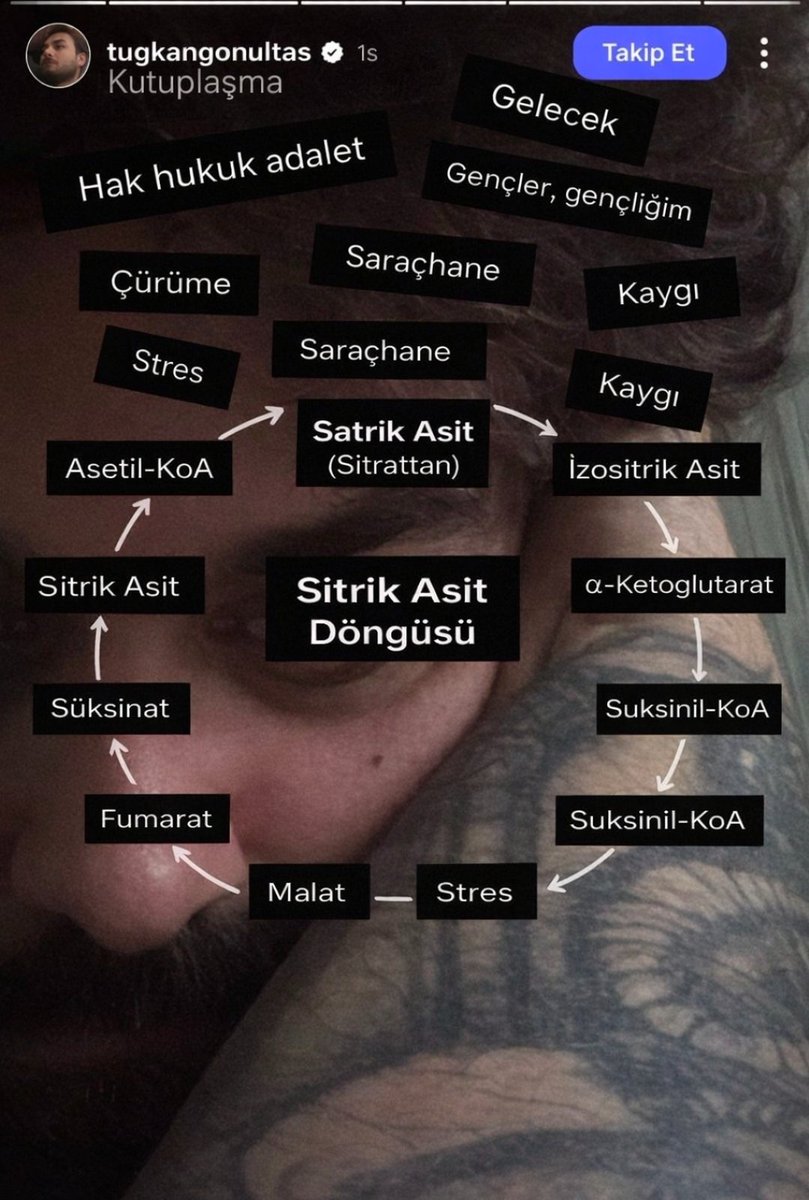 2022!(yeniden) tweet media