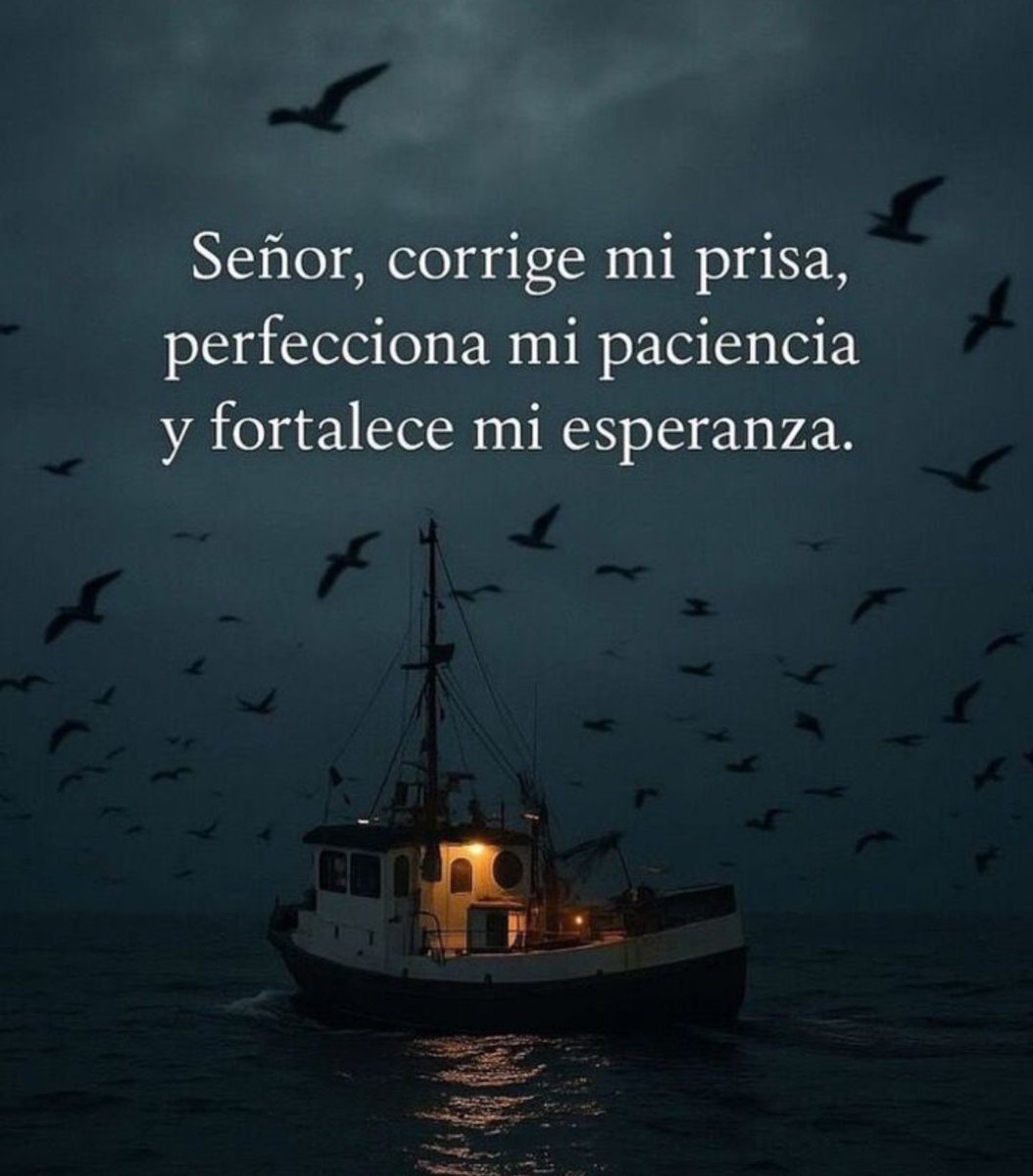 Un Católico Alegre tweet media