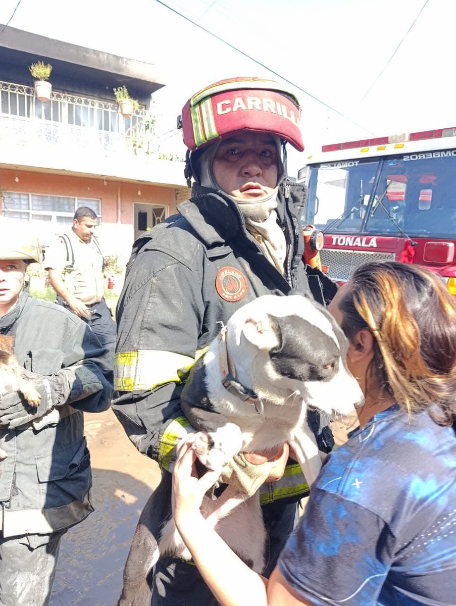 Notigram Jalisco tweet media