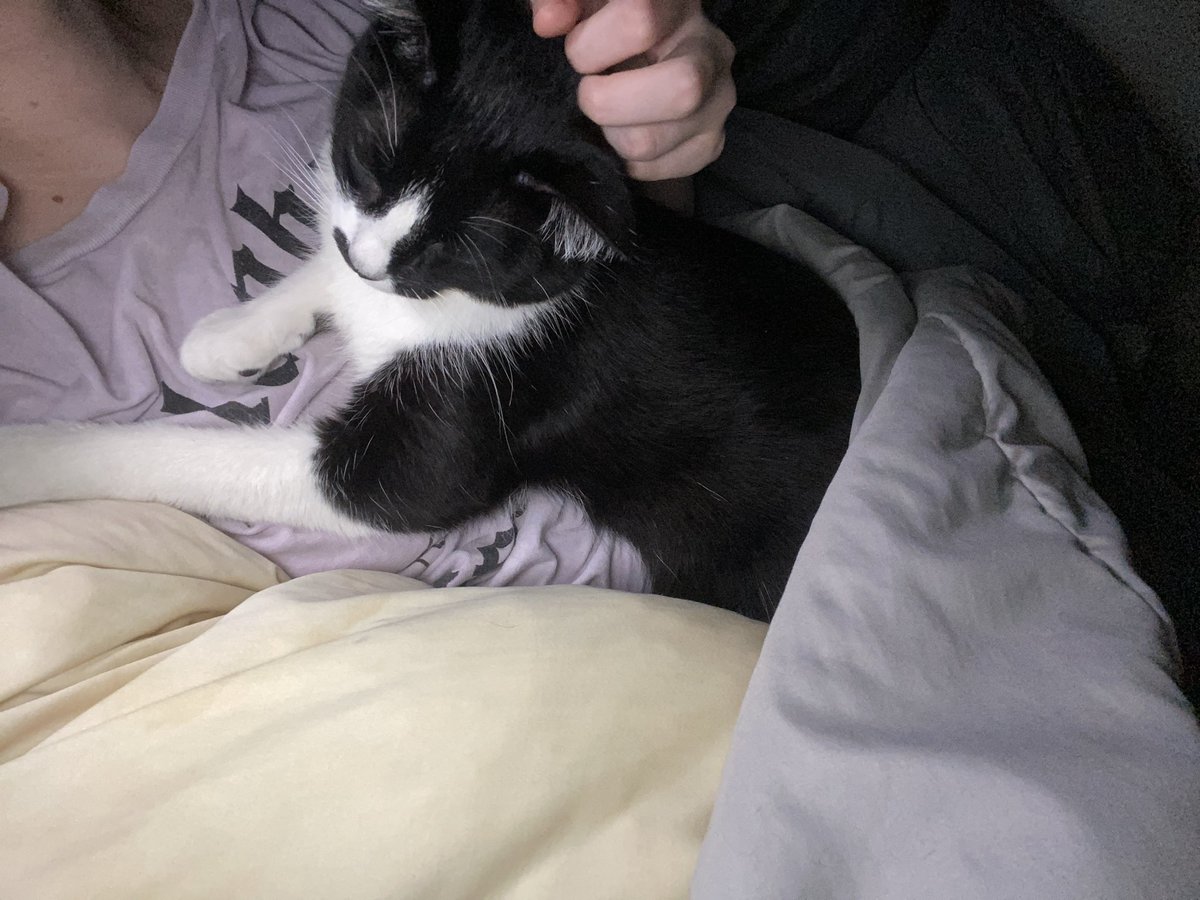 Im Bubby tweet media