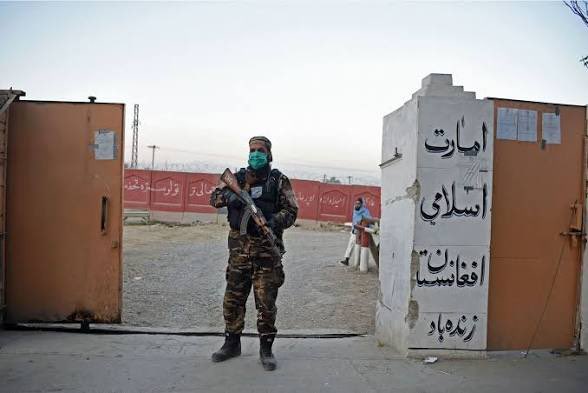 ANormalWeirdo tweet media