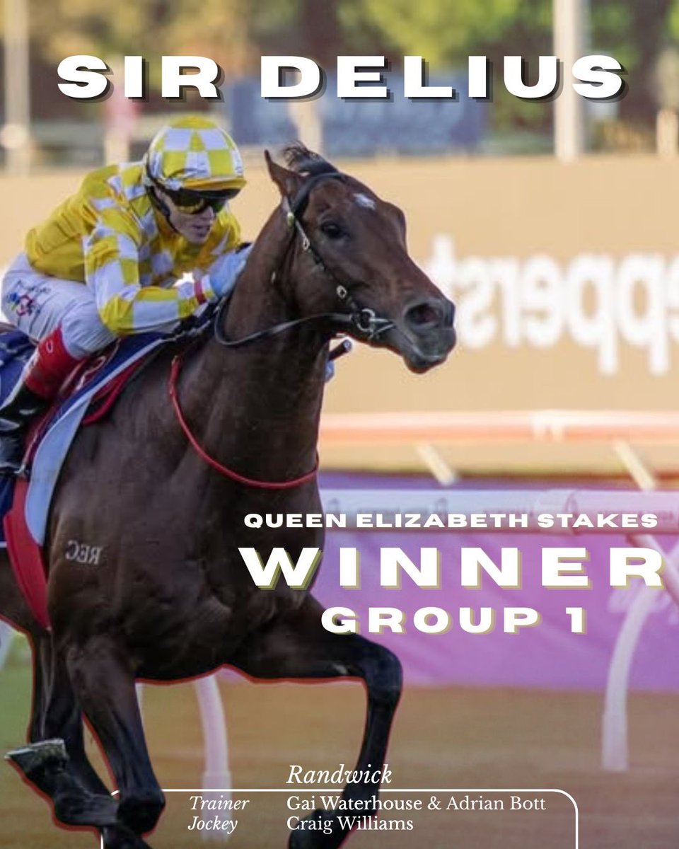 De Burgh Equine tweet media