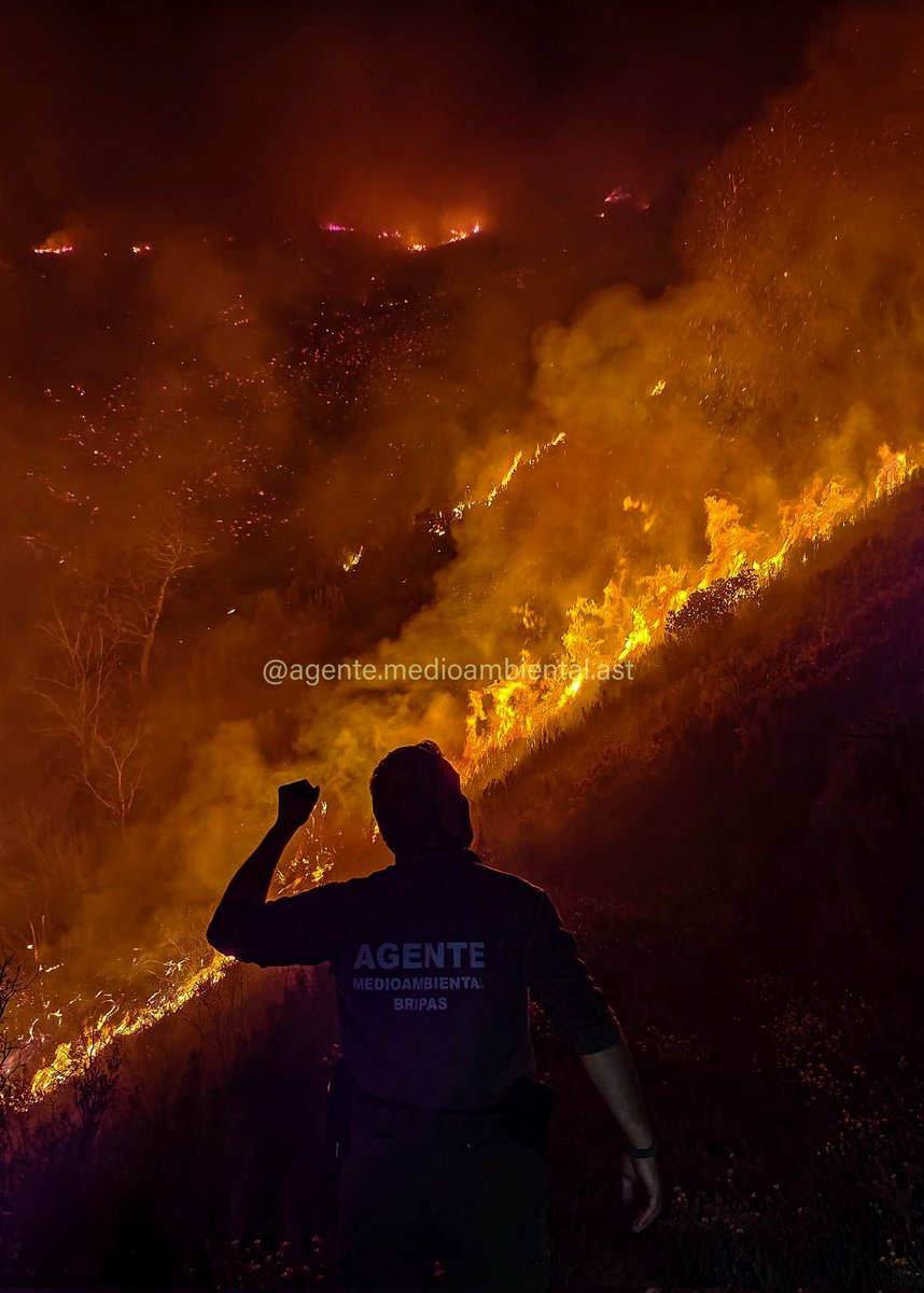 Apulín Colorado🪢⛏️❄️ tweet media