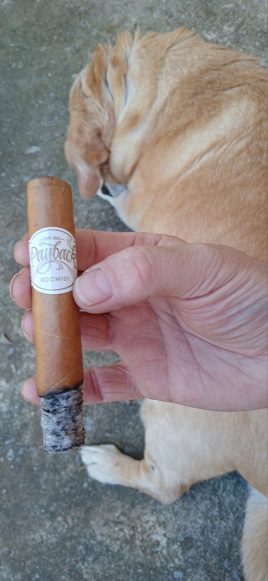 Batter_Up 🐘🇺🇸 tweet media