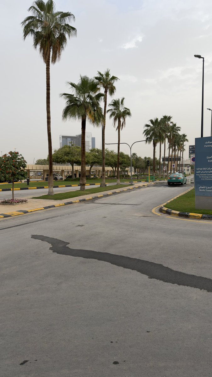 8½ ⭐️⭐️ tweet media