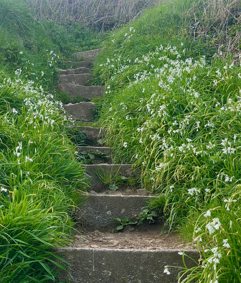 bakrim2000's tweet image. From my afternoon walk.
#Walking 👣 #cornwall