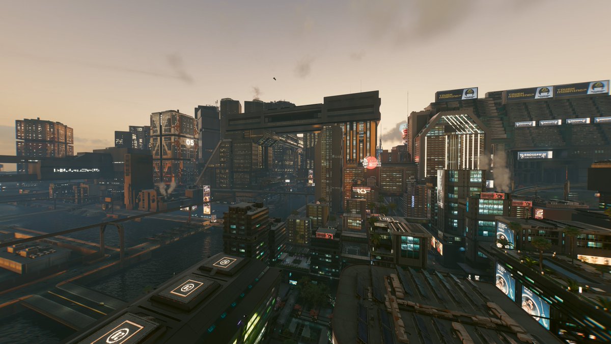 『Matt』™ tweet media