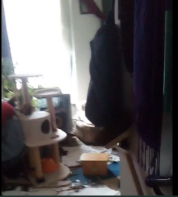 ~Waaves~ xx Femina tweet media