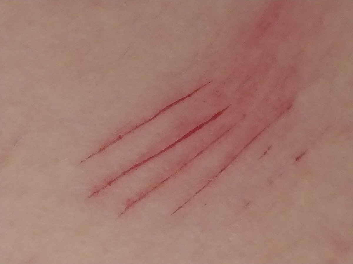 but i still want you | (っ◞‸◟c) tweet media