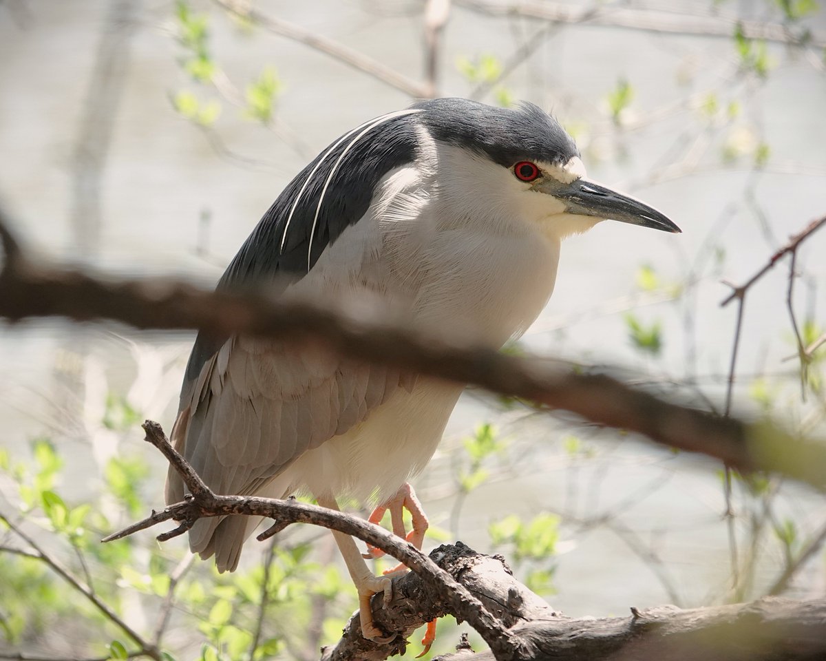 Dan Bright tweet media