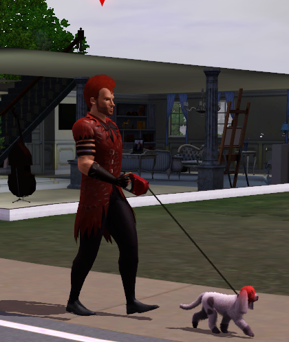 eli 🐉 tweet media