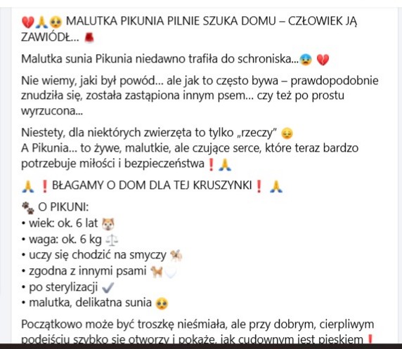 Robwalka Wolf tweet media