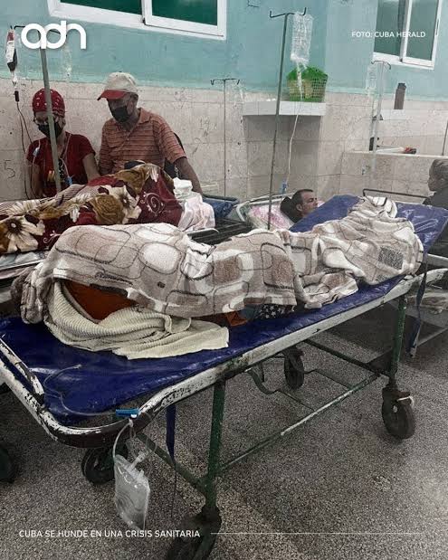 Luttor 🇪🇸 tweet media