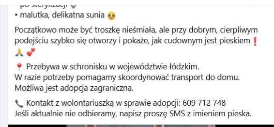 Robwalka Wolf tweet media