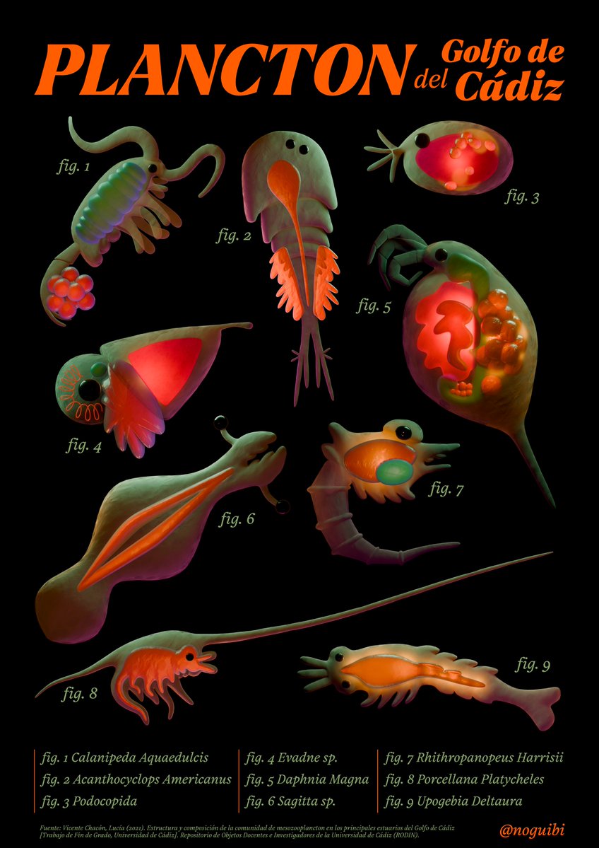 Javi🌿💚🐛 tweet media