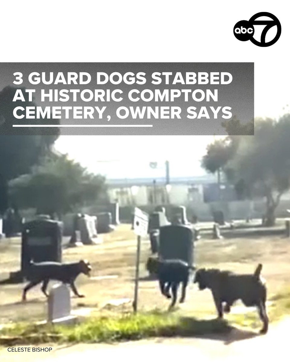 ABC7 Eyewitness News tweet media