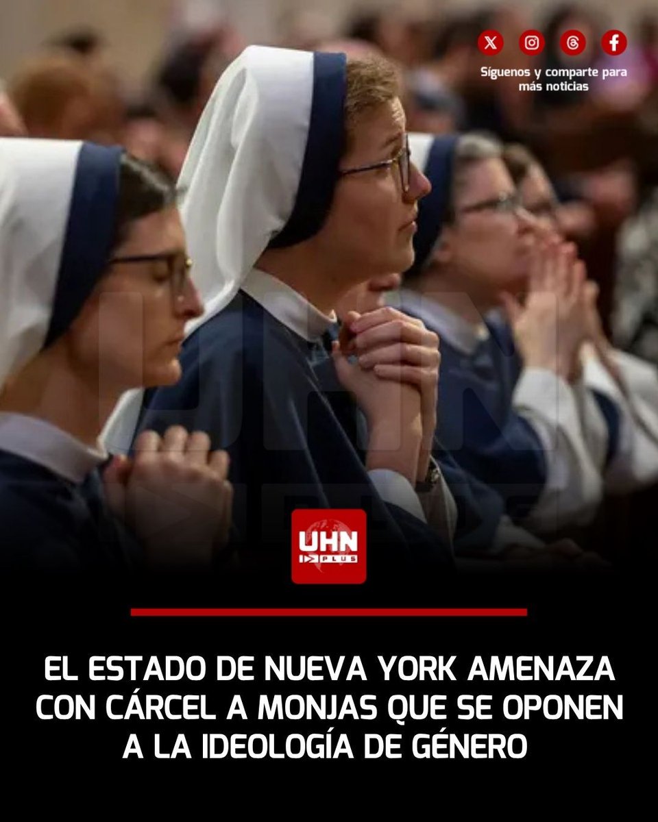 UHN Plus tweet media