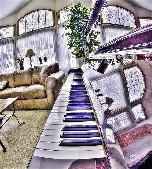 Peace Advocate tweet media