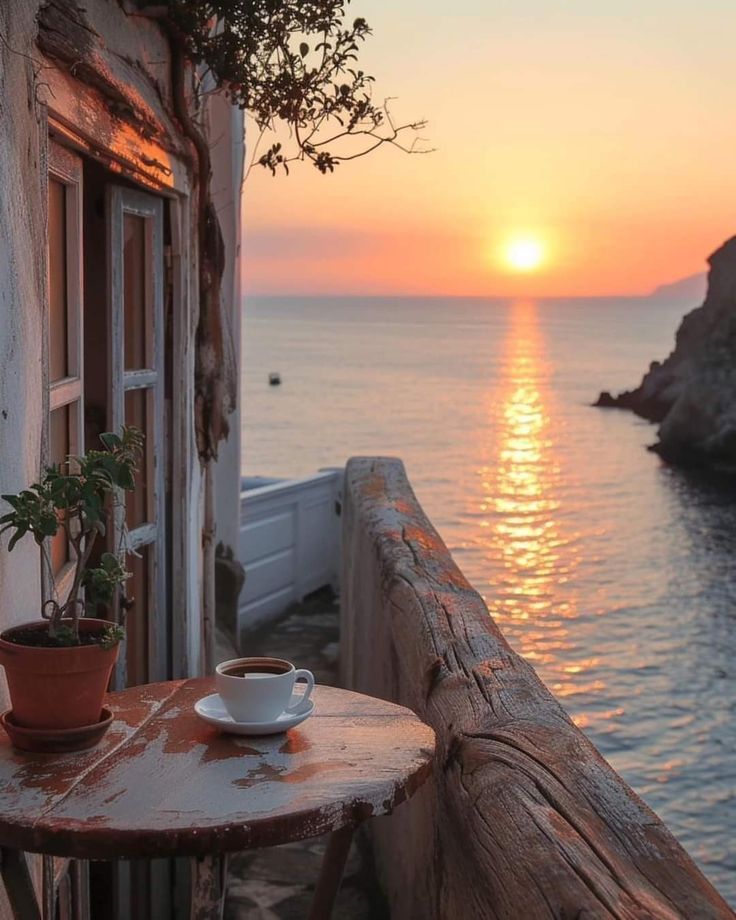 ISA 🌸 tweet media