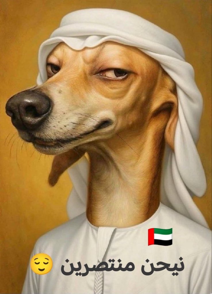 سعودية 🇸🇦 tweet media