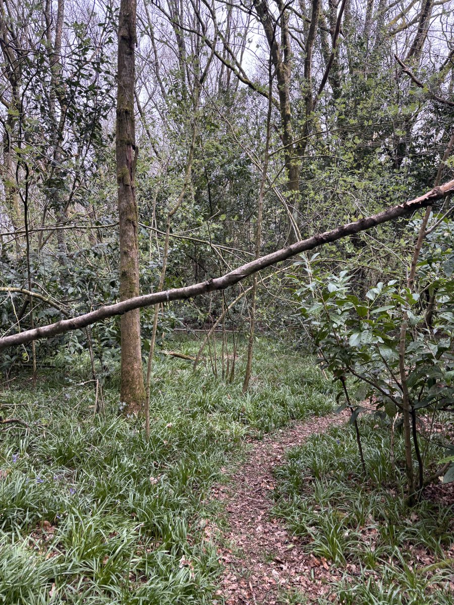 Mark Mawdsley tweet media