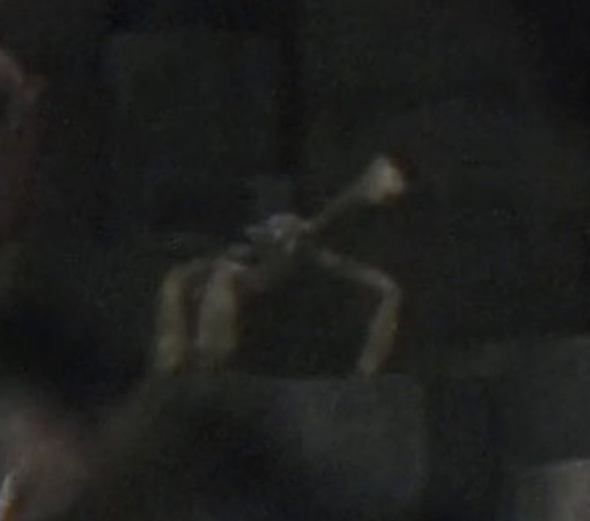 Project Hail Emmy 🚀 tweet media