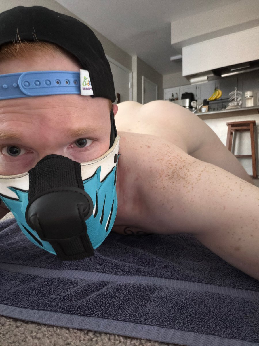 Pup Mateo 🩵🩵 tweet media