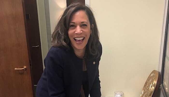 Dolly_World tweet media