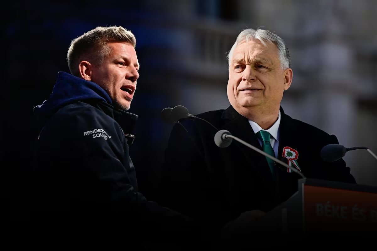 Mateusz Pluta tweet media