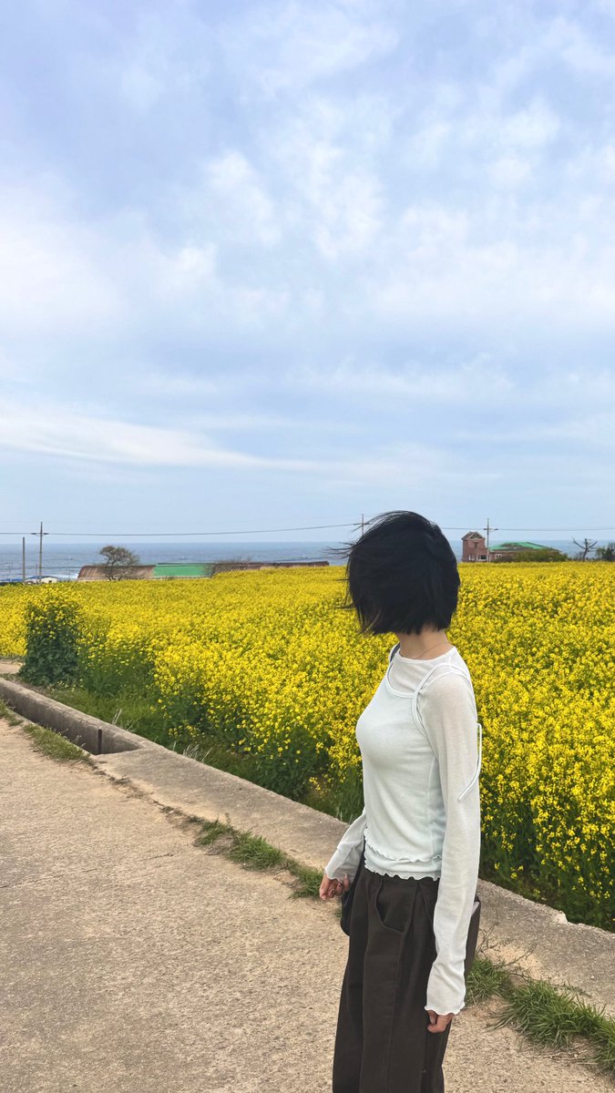 Izncac's tweet photo. 포항항 https://t.co/vXEZgfJZ06