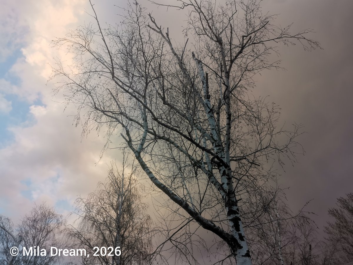 MilaDreamQueen's tweet image. ⛪#HAPPY #EASTER⛪
from Russia 🧁🧁🧁!
&amp;amp; Happy Cosmonautics Day!
🛰️🚀🛸
=====================
Love ❤️,
@MilaDreamQueen