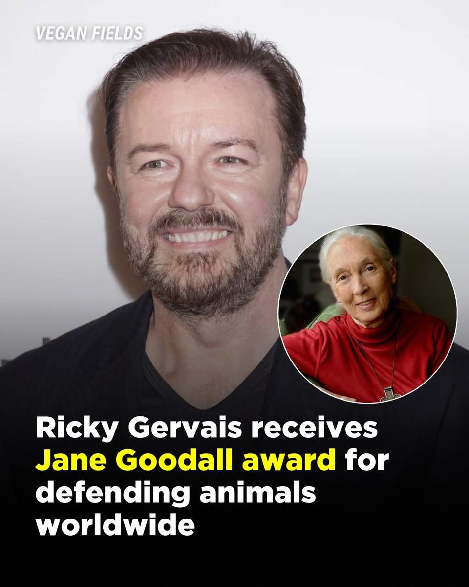 dominic dyer tweet media