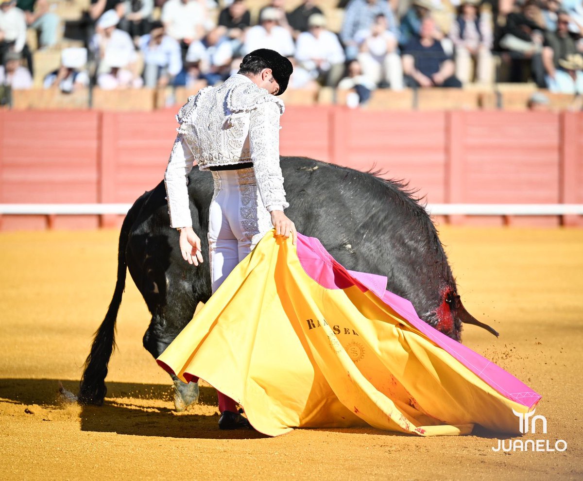 Dimensión Taurina By Tauro Nota tweet media