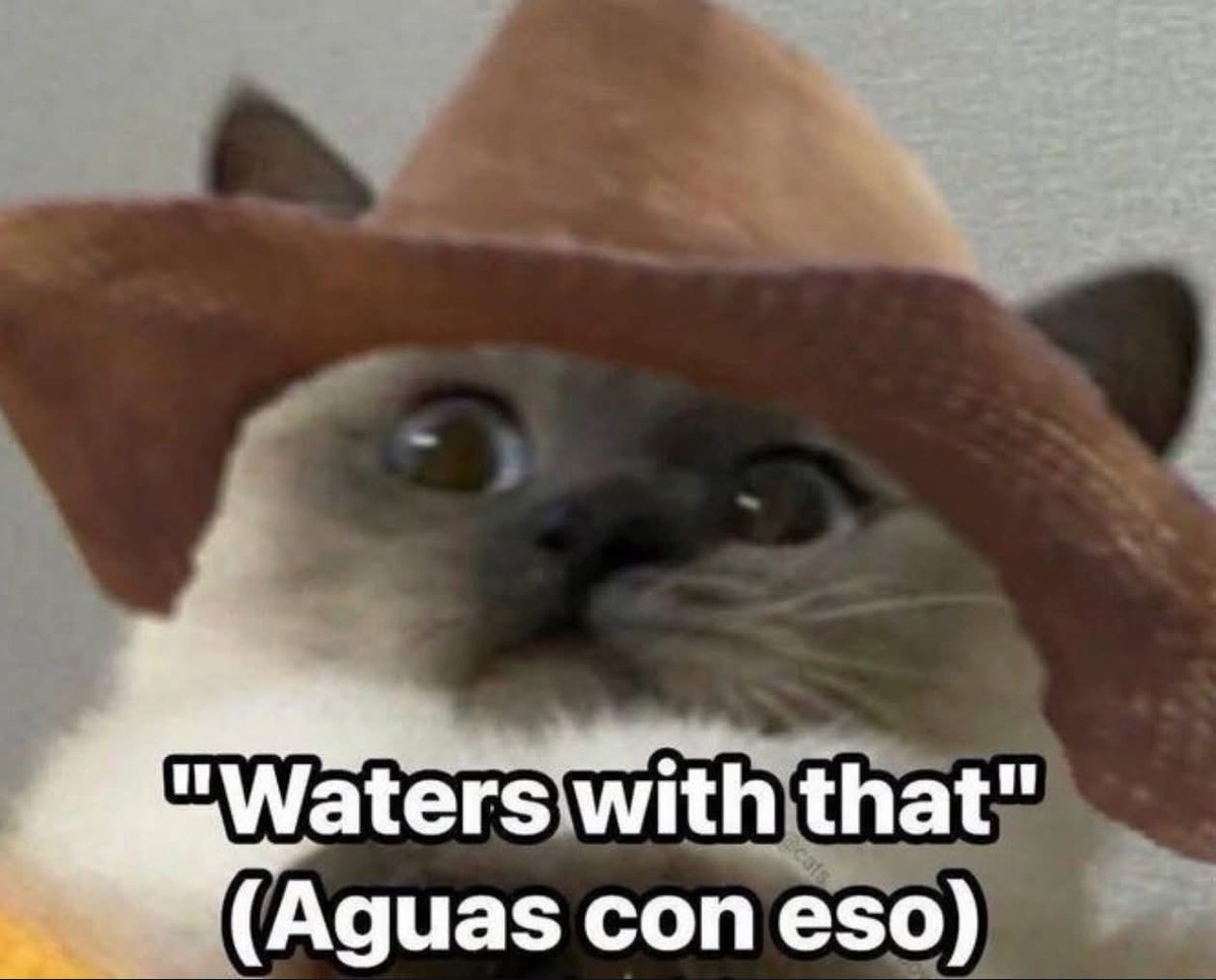 Carol Sturka y su Sonido Lasser tweet media