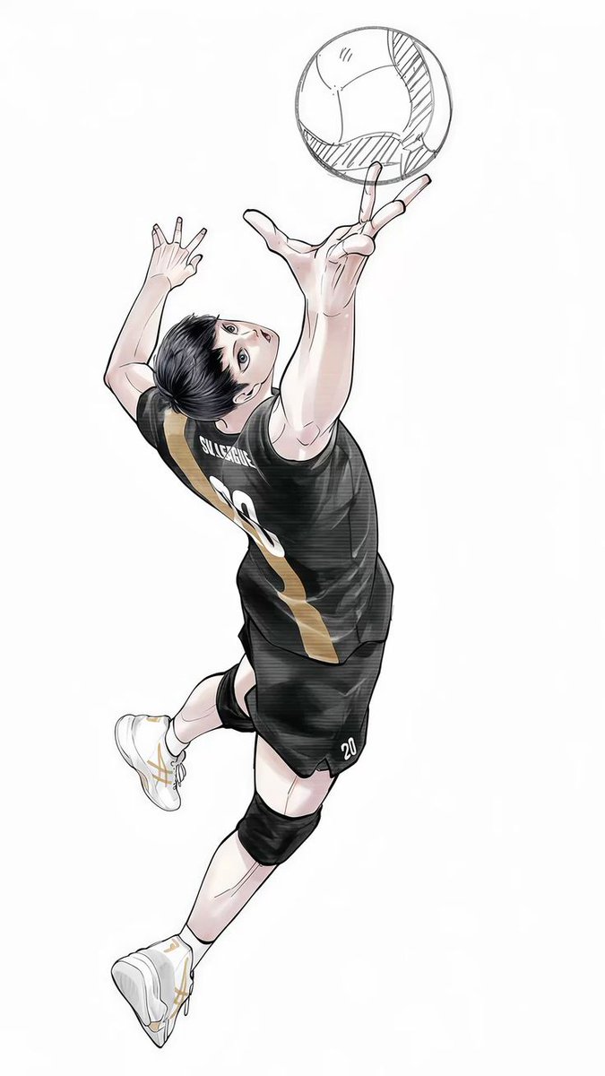 HaikyuuBase tweet media