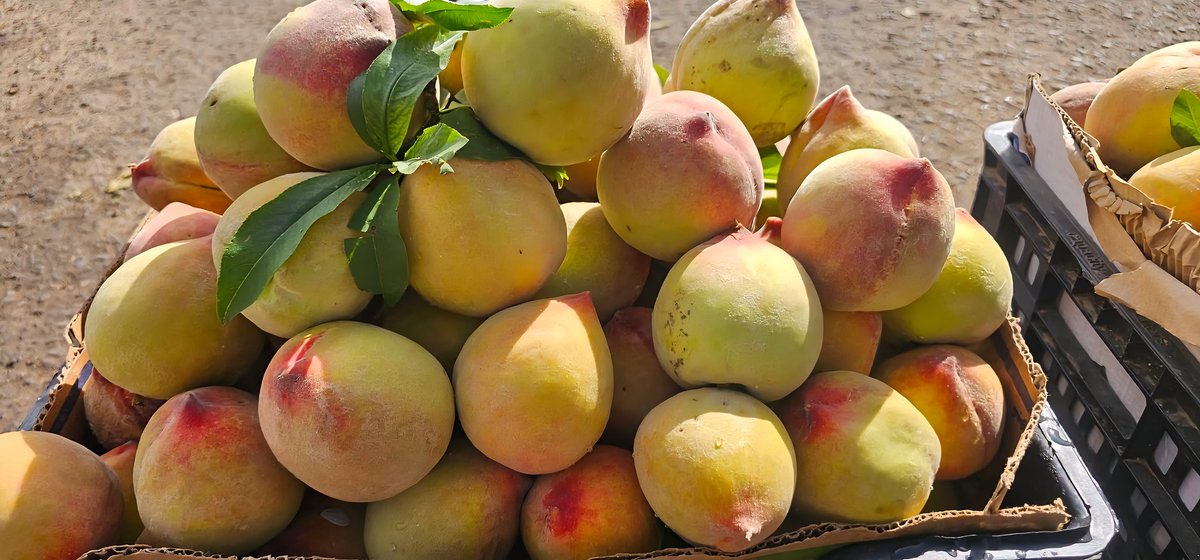 الجبهة الاقتصادية اليمنية tweet media