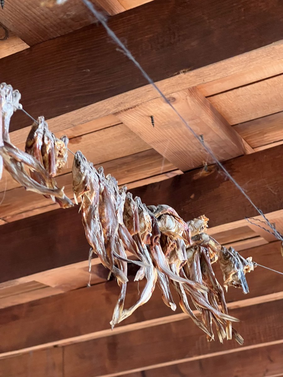 Will Hellsing tweet media