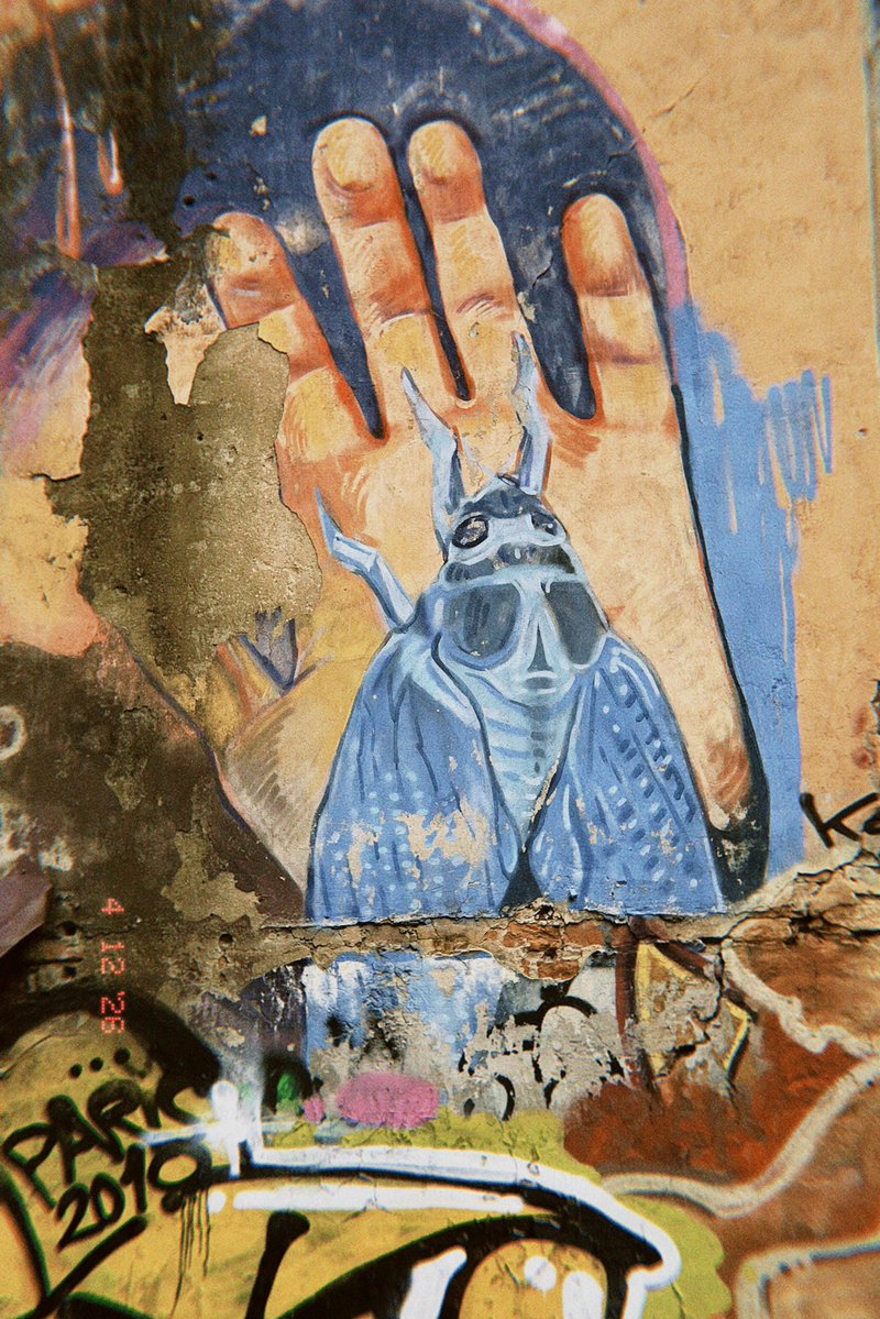 Will Hellsing tweet media