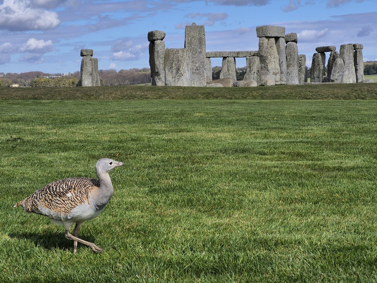 Luis Miguel Domínguez tweet media