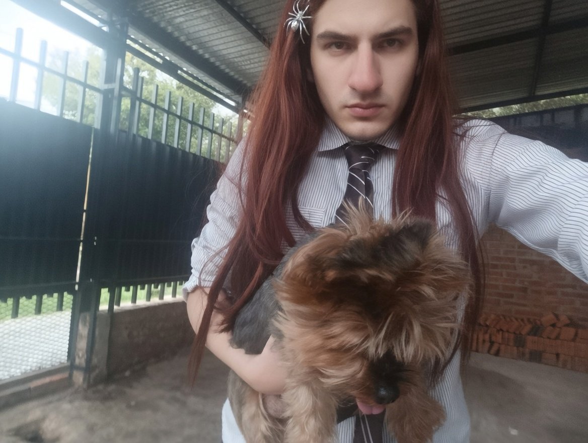 Maximo Fracasado she/her 🏳️‍⚧️ tweet media