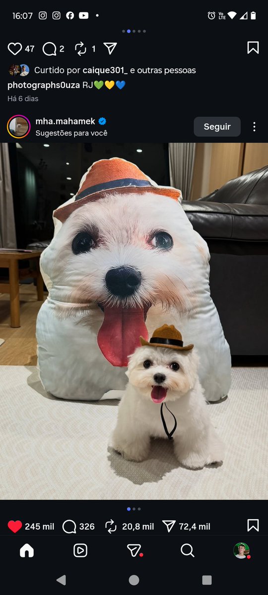 chino morenelson da silva tweet media