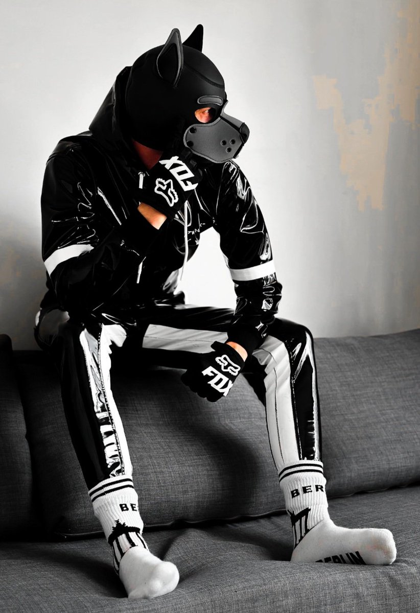 🇵🇱 PUPPY PARK 9.05.26 MANNHEIM tweet media