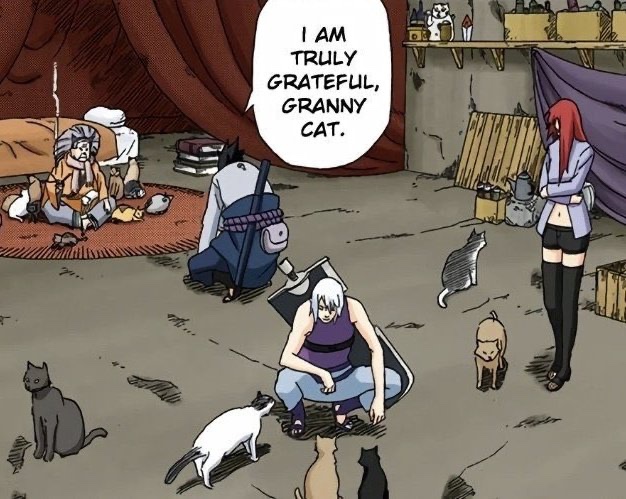 i love the team taka and cats concept so much 😭revolutionaries/enemies of patriarchy/animal rights/lgbt rights advocates/cats...