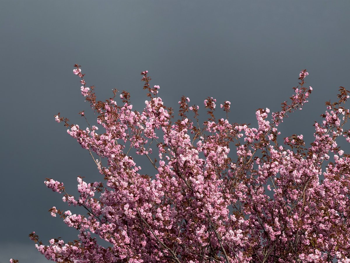 rly cool girl tweet media