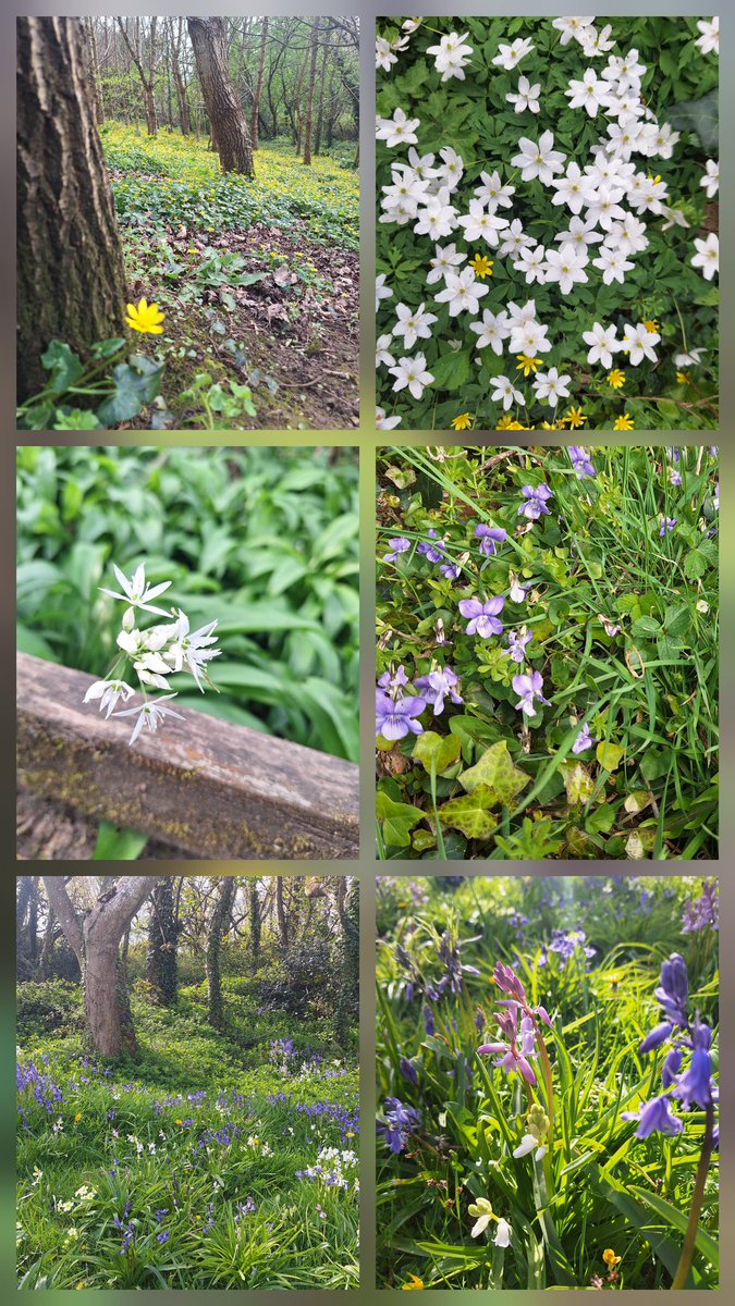 Jilly Will 🇺🇦 💙 Let's Rethink the Future tweet media