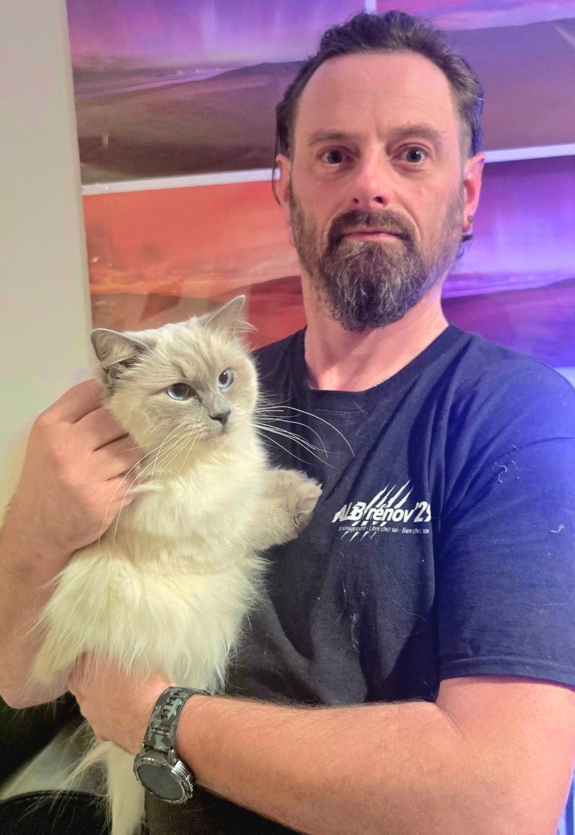 ALB_renov29's tweet image. Bonsoir à tous !
Avec l'arrivée des beaux jours 🌞 
Je vous propose une nouvelle prestation en partenariat avec Audrey de la Chatterie de la roche bleue.
Je vous propose des catios (espaces extérieurs sécurisés) sur mesures pour vos chats 😻
#catio #chat #finistere #chatterie