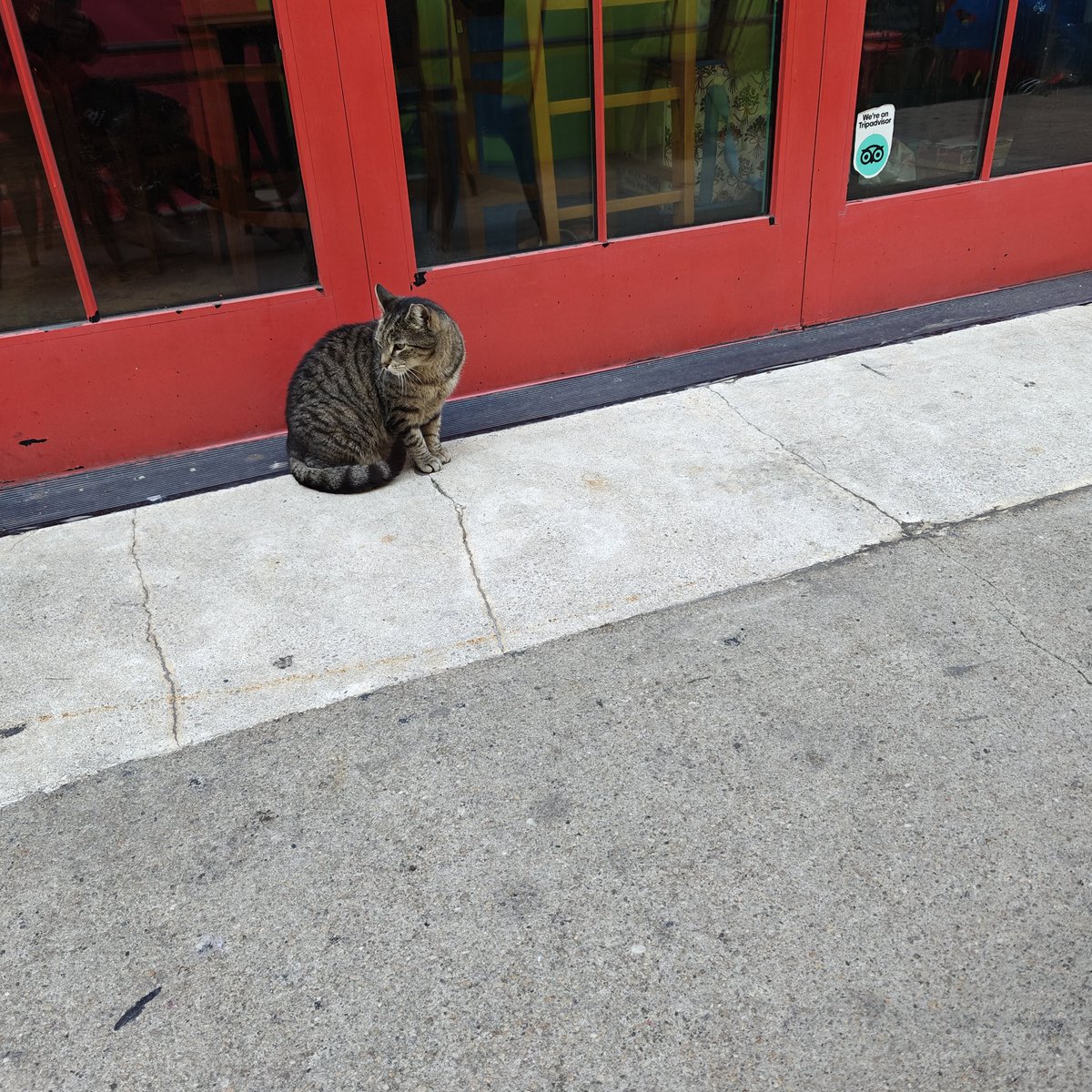 some guy tweet media